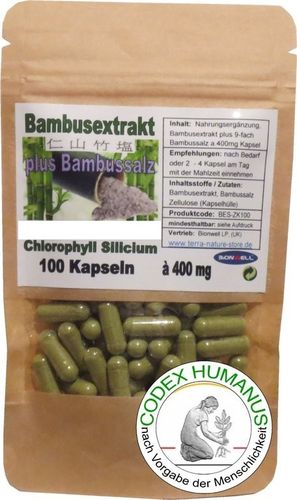 Bambusextrakt + 9-fach gebranntes Bambussalz Vegan Kapseln 400 mg SILICIUM ELEKTROLYTE